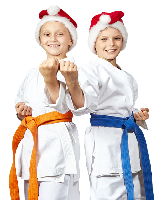 alt="martial arts holiday deals"