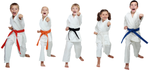 alt="kids lined up at karate class"