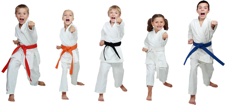 alt="kids lined up at karate class"