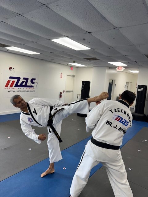 Martial artist executing a high kick during sparring